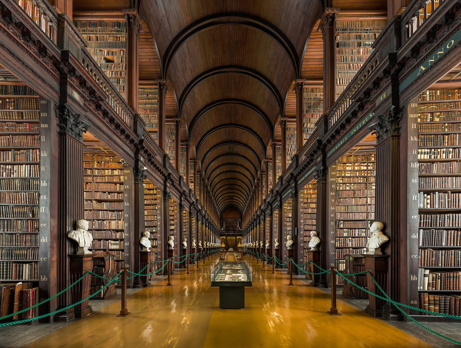 Trinity College and Book of Kells Guided Visit