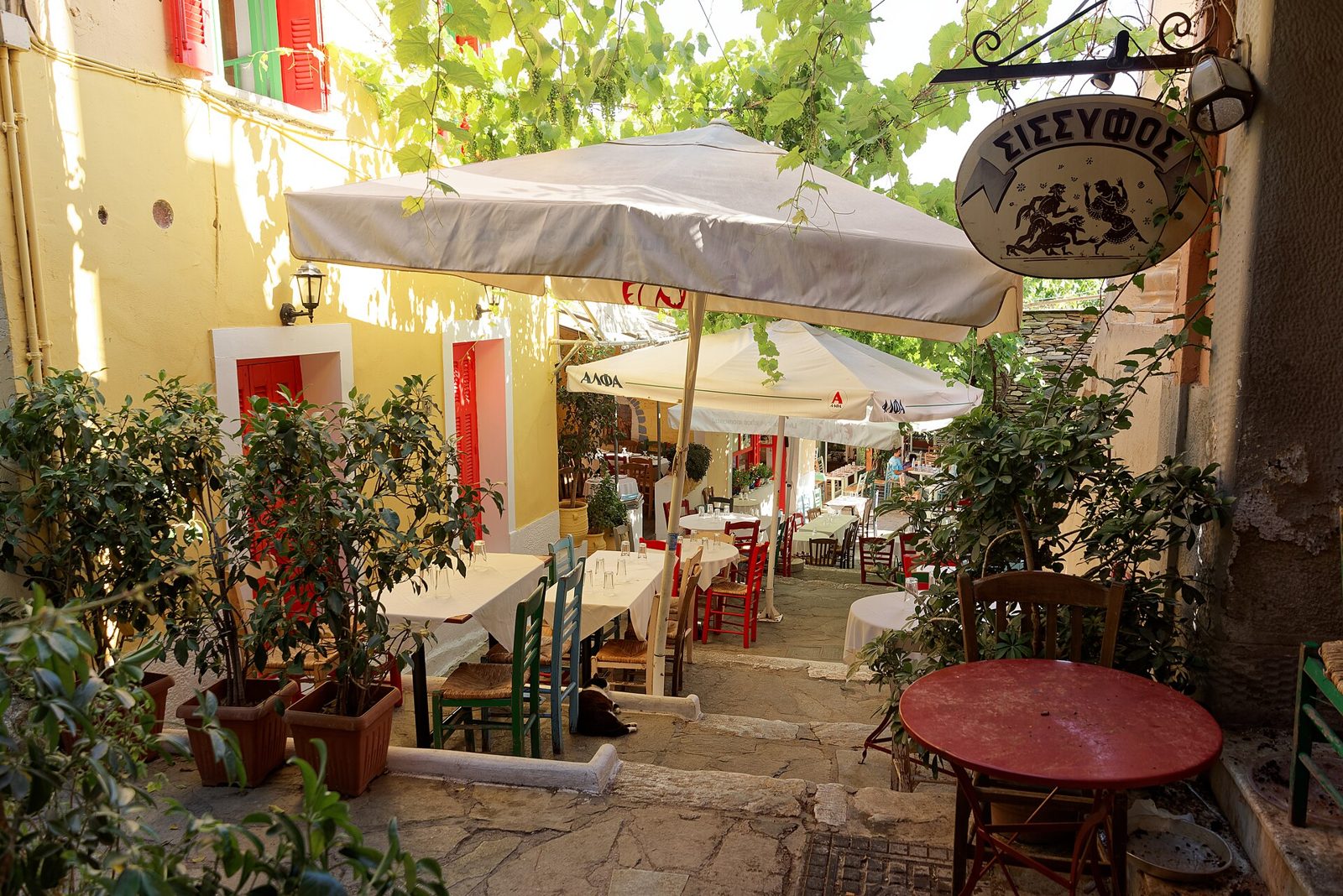 Plaka and Central Market Food Walk
