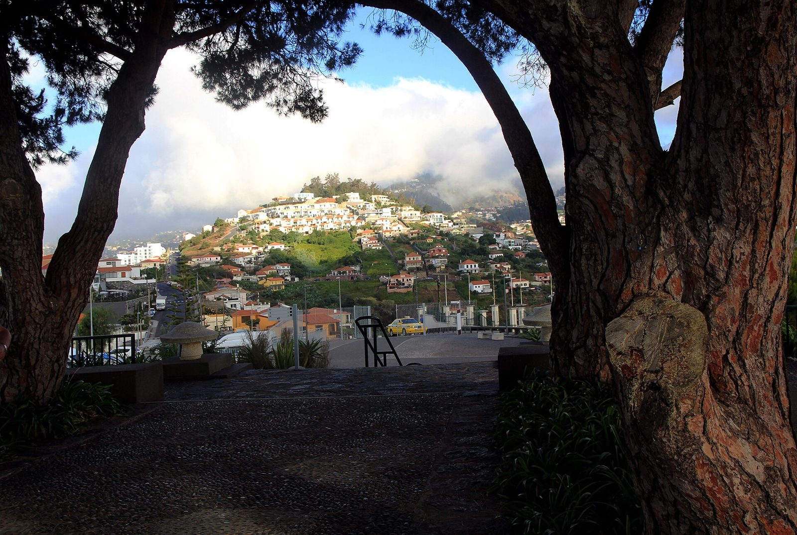 Funchal bay on Madeira
