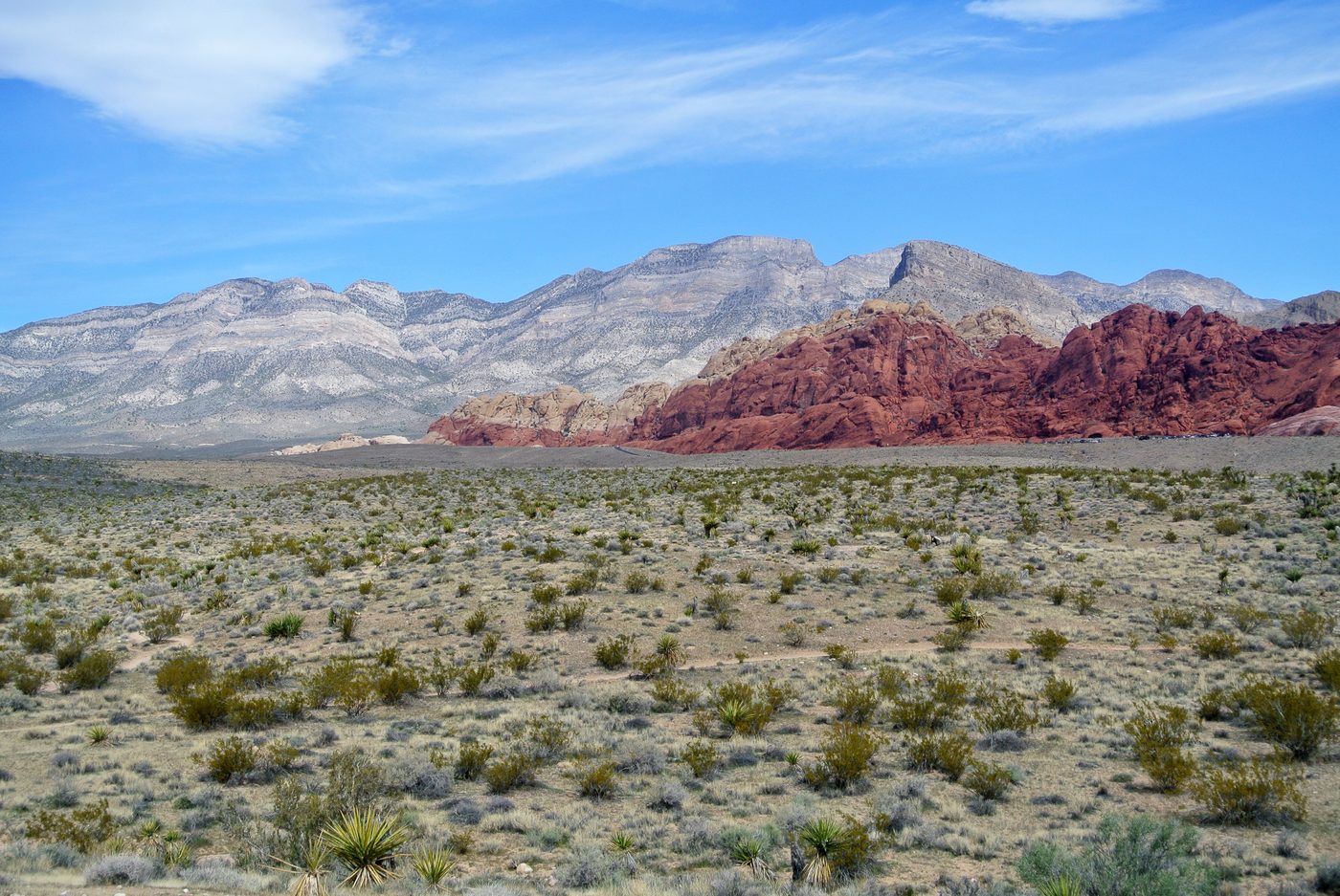 Red Rock Canyon Scenic Drive and Hike