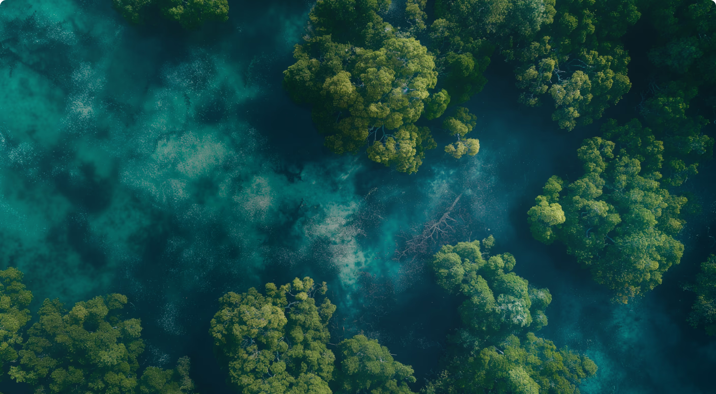 A flourishing natural landscape shaped by water, trees and open land