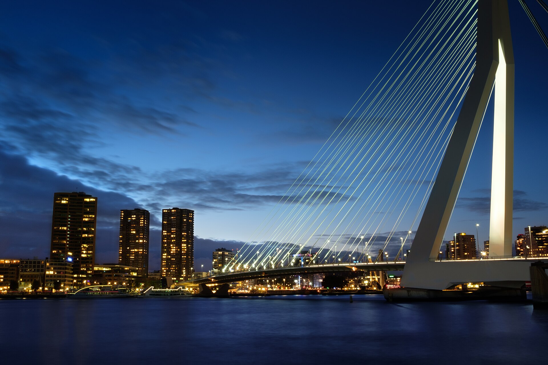 The Erasmus Bridge and Rotterdam skyline at dusk